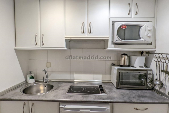 Exterior apartment in Almagro with terrace #238 in Madrid