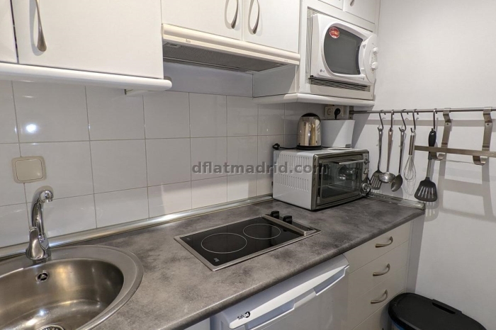 Exterior apartment in Almagro with terrace #238 in Madrid