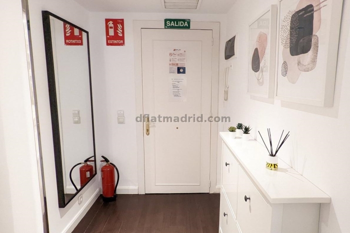 Exterior apartment in Almagro with terrace #238 in Madrid