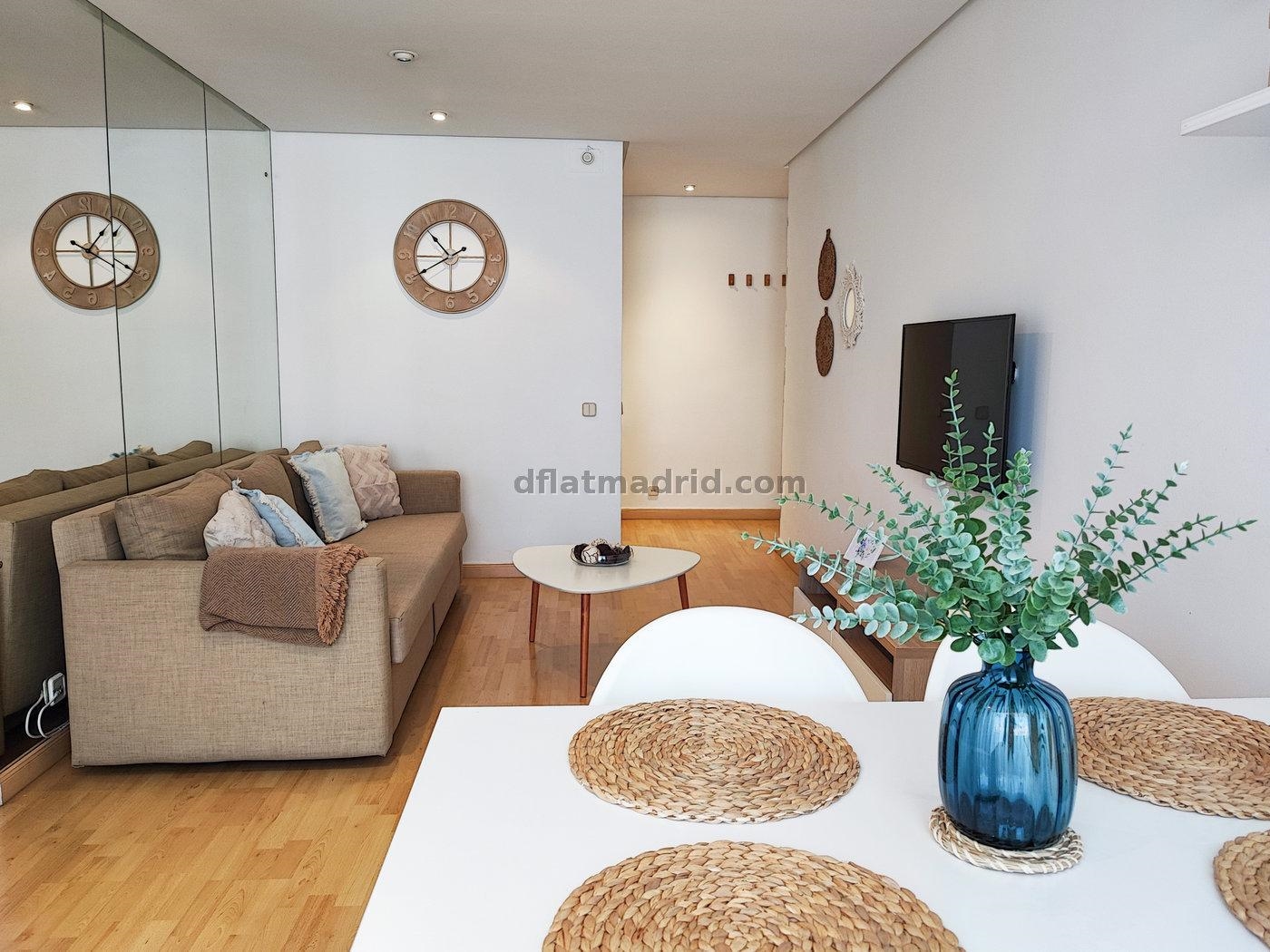 Apartamento exterior cerca de la Castellana con terraza #239 en Madrid