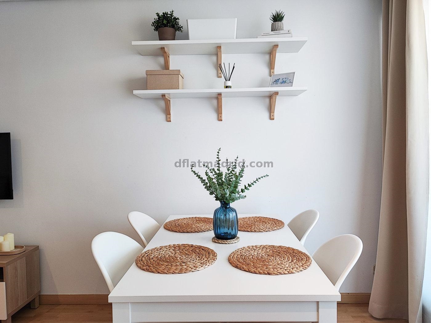 Apartamento exterior cerca de la Castellana con terraza #239 en Madrid