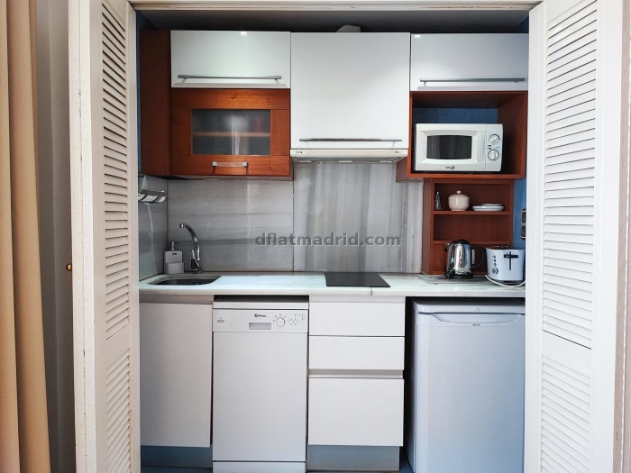 Apartamento exterior cerca de la Castellana con terraza #239 en Madrid