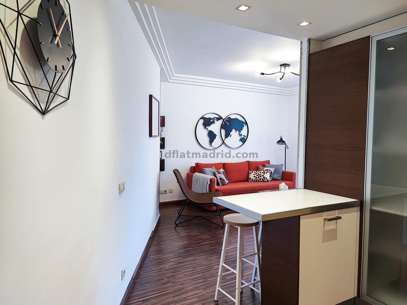 Exterior apartment next to Serrano with views #262 in Madrid