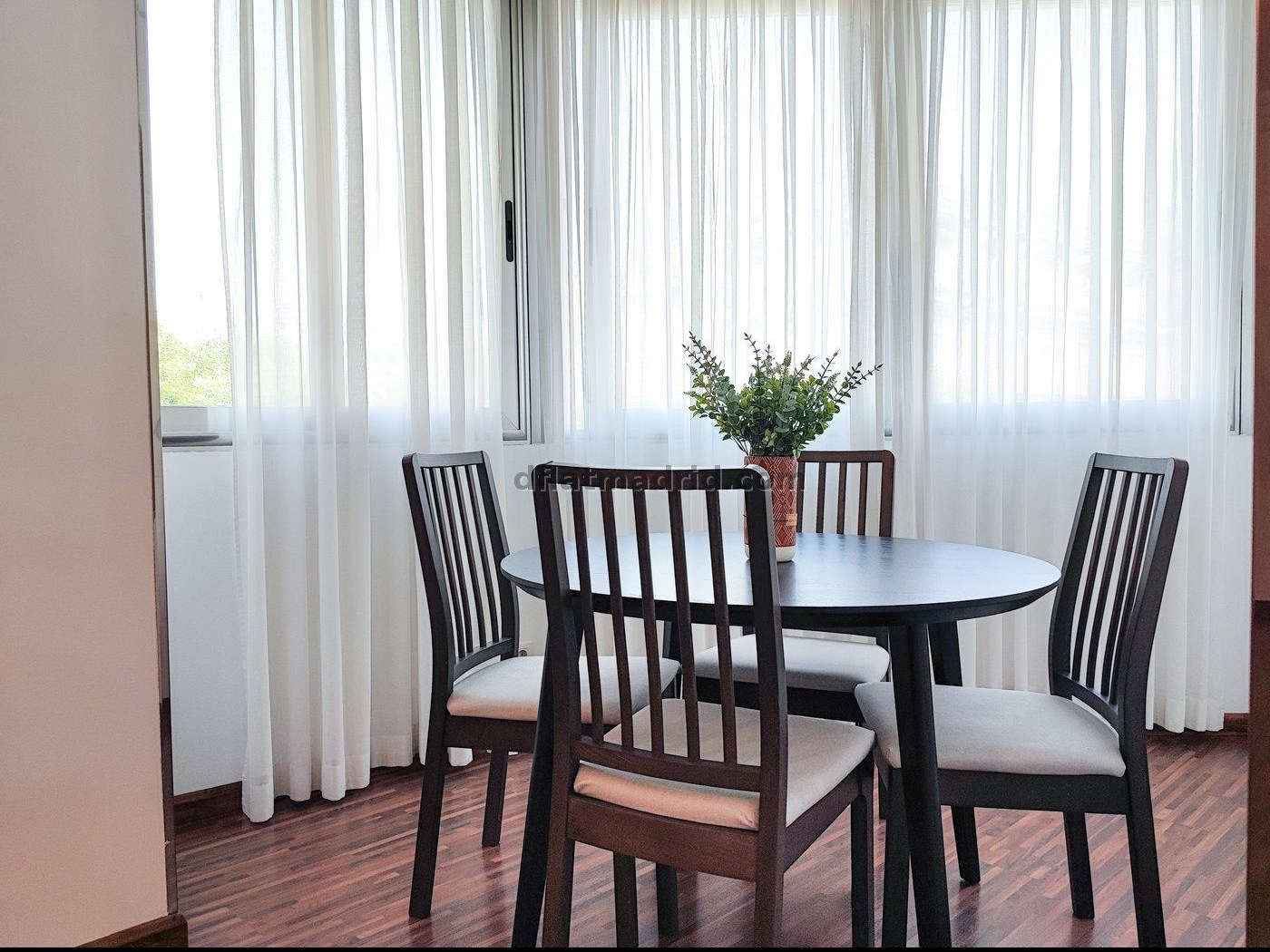 Exterior apartment next to Serrano with views #262 in Madrid