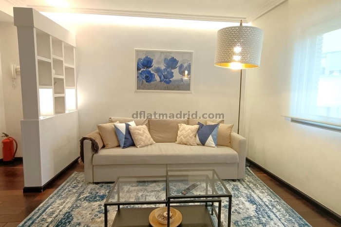 Interior apartment in Almagro with all the amenities #359 in Madrid