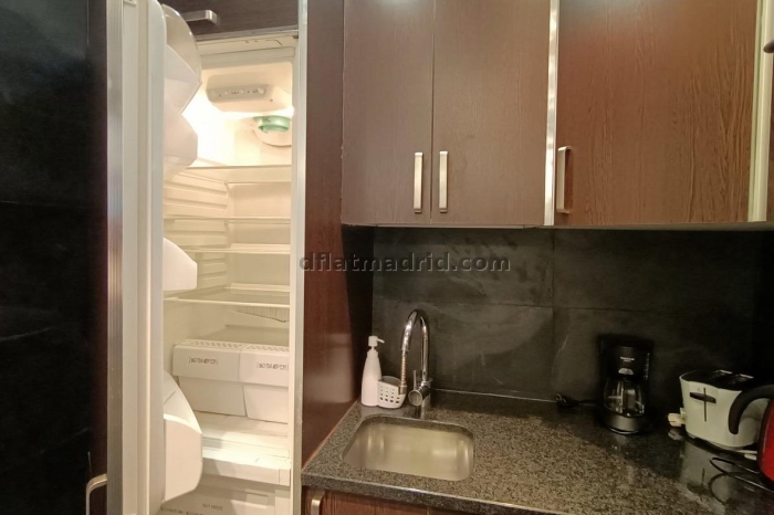 Interior apartment in Almagro with all the amenities #359 in Madrid