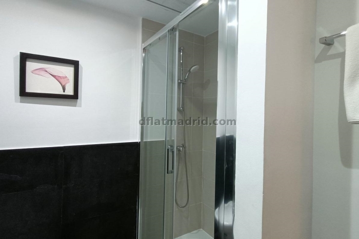 Interior apartment in Almagro with all the amenities #359 in Madrid