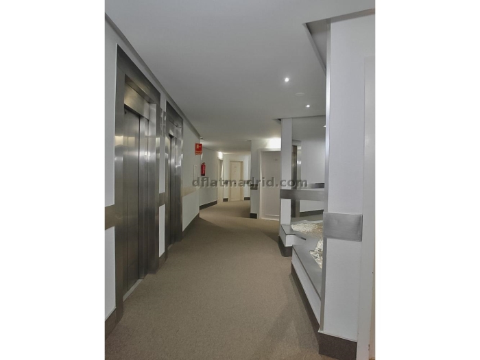 Interior apartment in Almagro with all the amenities #359 in Madrid