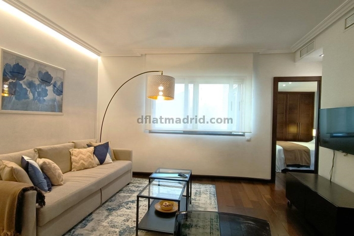Interior apartment in Almagro with all the amenities #359 in Madrid
