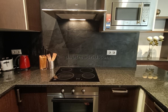 Interior apartment in Almagro with all the amenities #359 in Madrid
