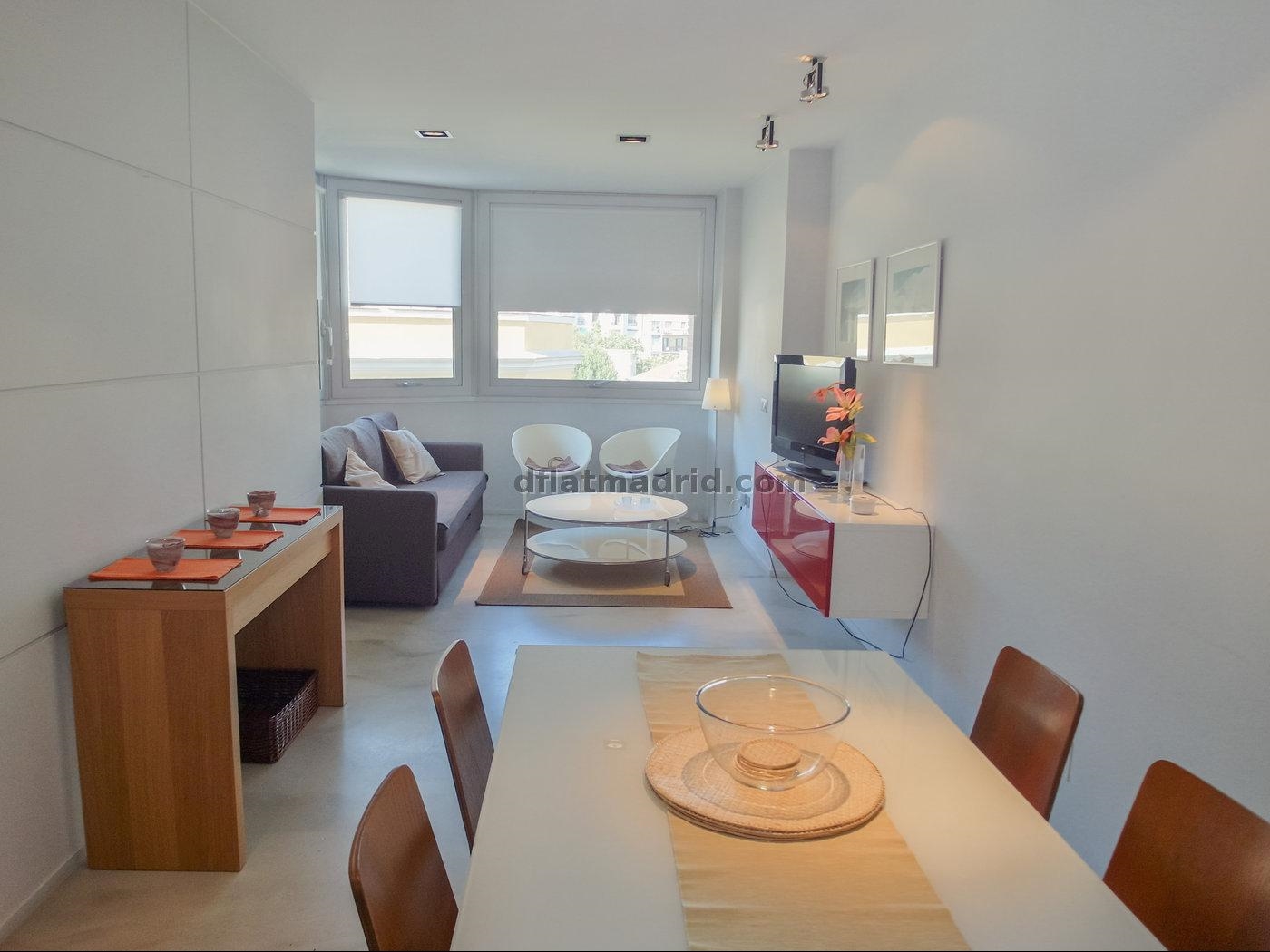 Exterior apartment next to Serrano fully equipped #431 in Madrid