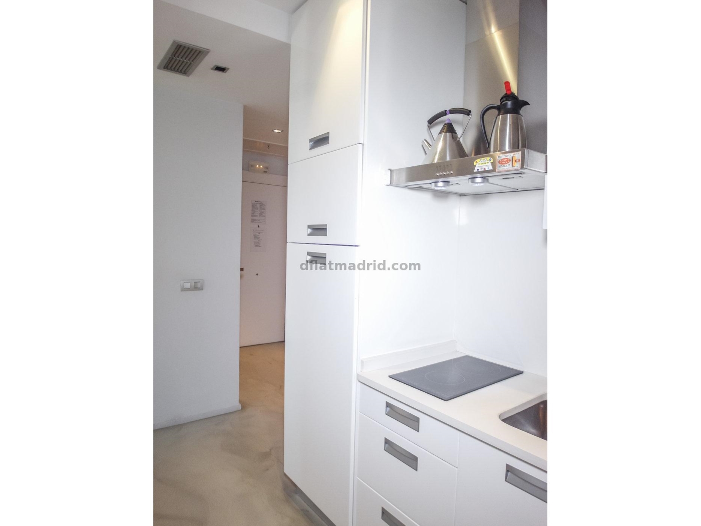 Exterior apartment next to Serrano fully equipped #431 in Madrid