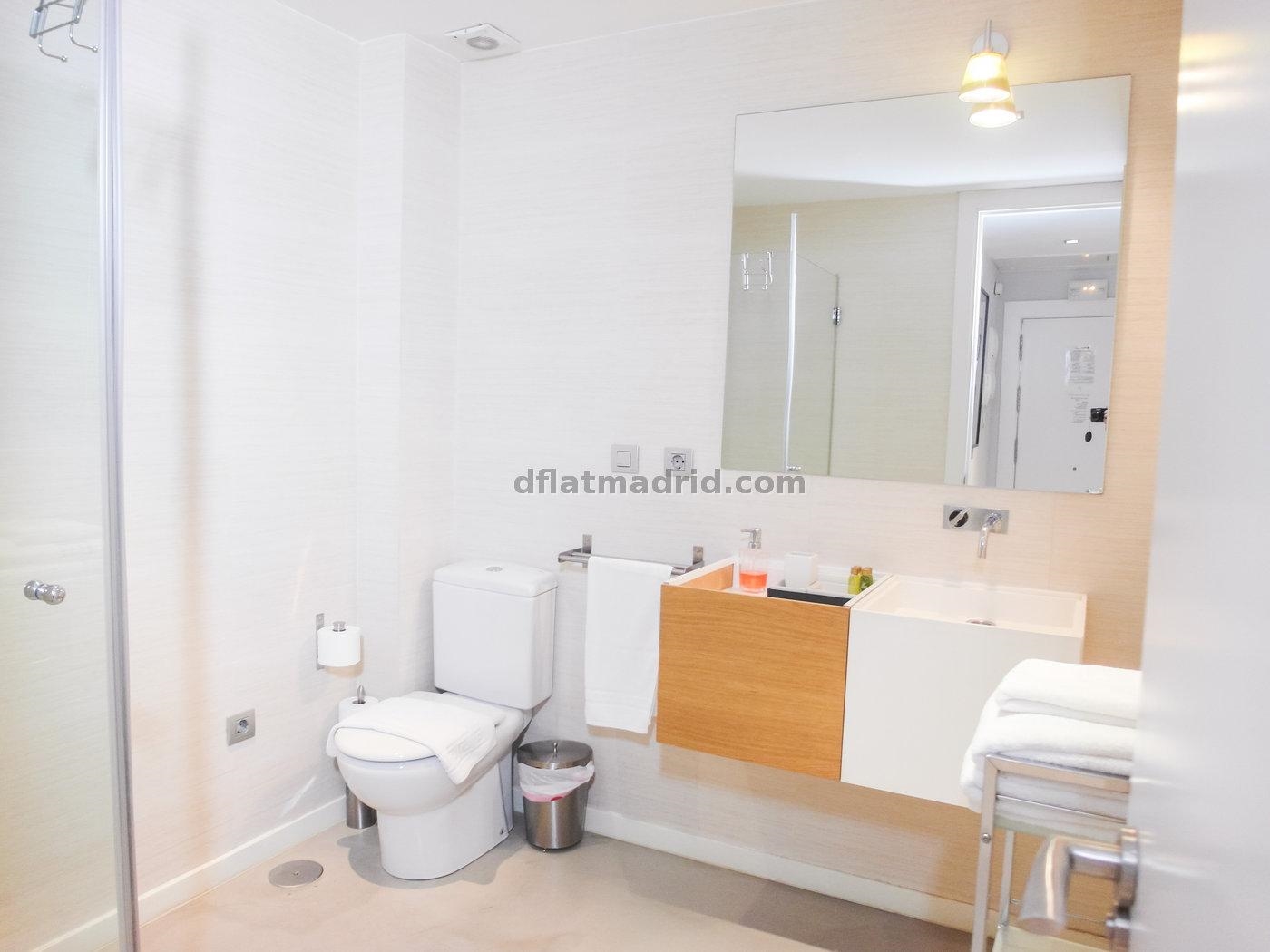Exterior apartment next to Serrano fully equipped #431 in Madrid