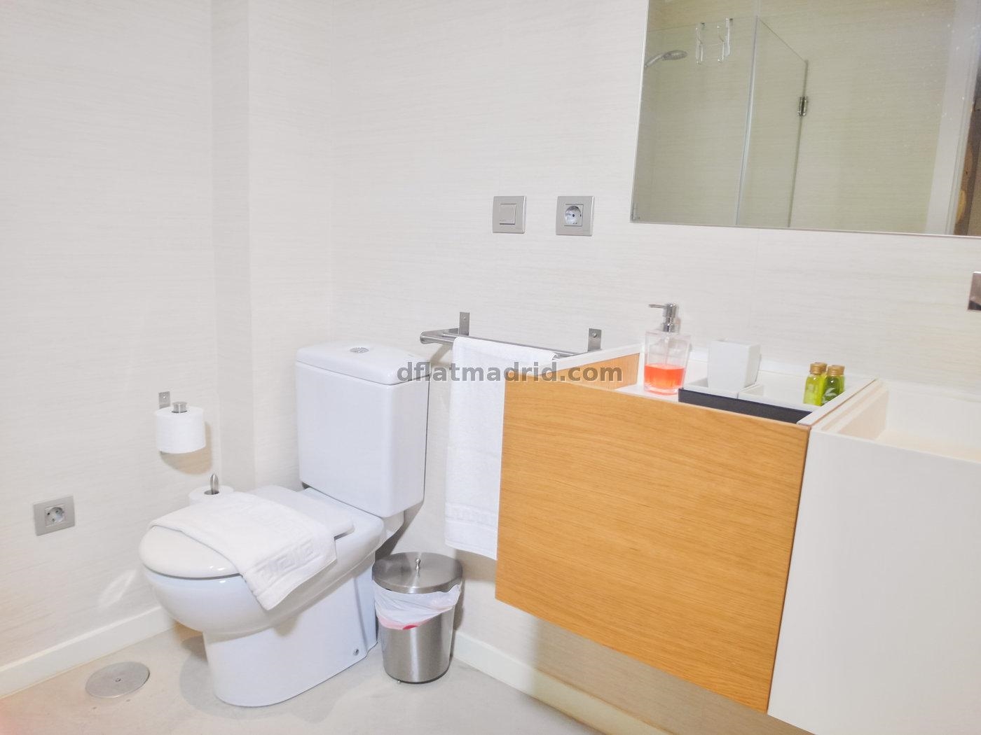Exterior apartment next to Serrano fully equipped #431 in Madrid