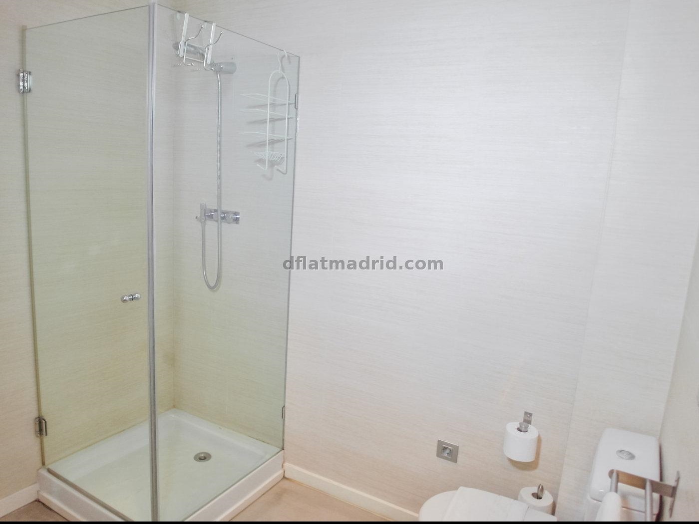 Exterior apartment next to Serrano fully equipped #431 in Madrid