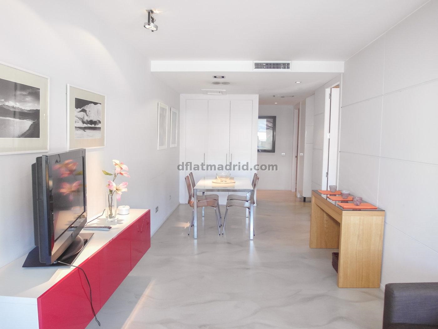 Exterior apartment next to Serrano fully equipped #431 in Madrid