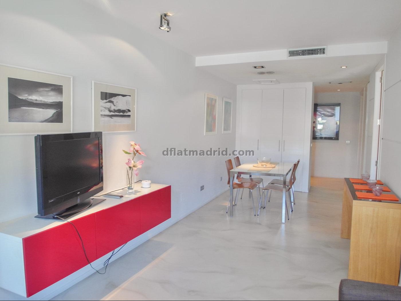 Exterior apartment next to Serrano fully equipped #431 in Madrid
