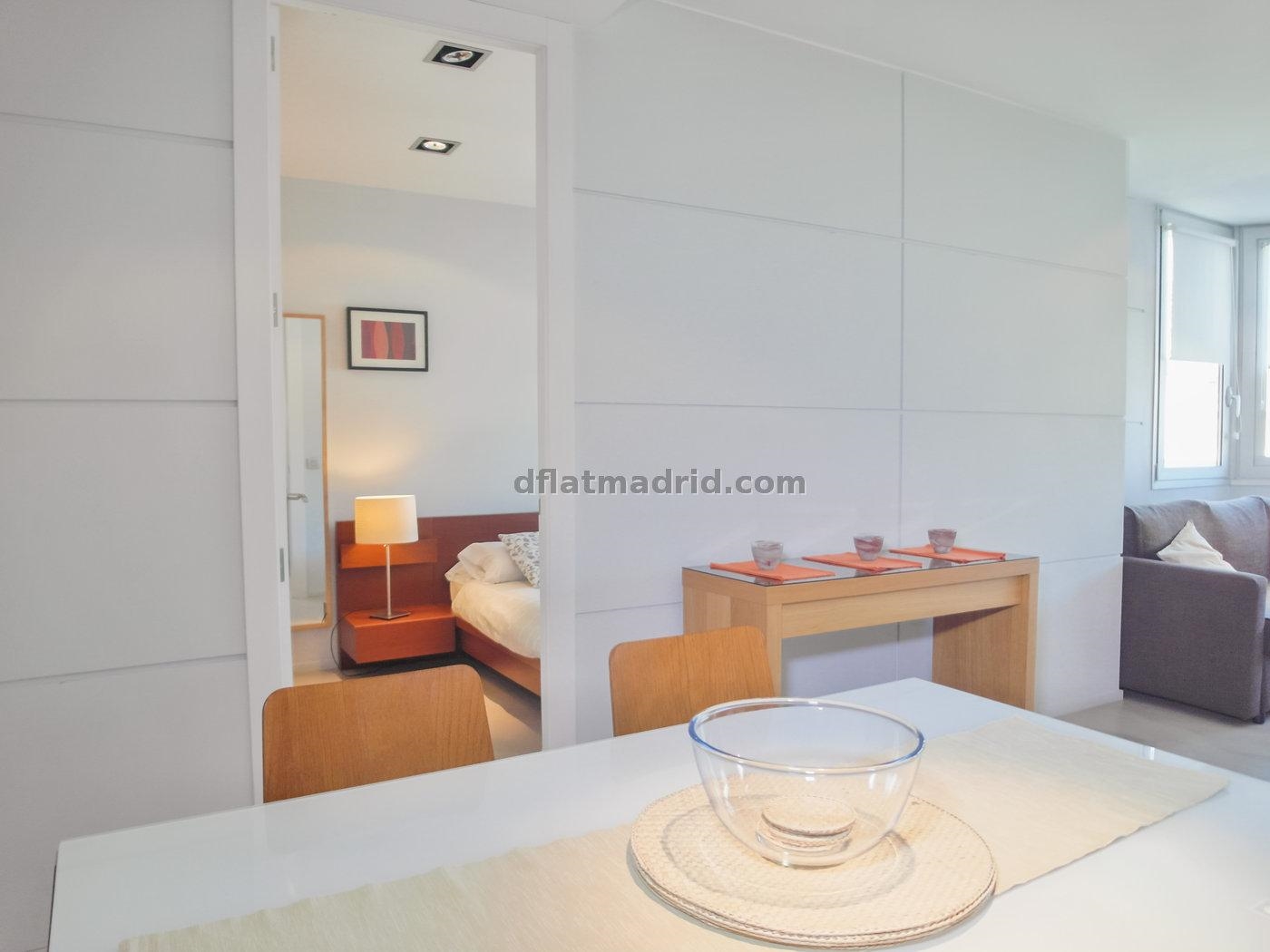 Exterior apartment next to Serrano fully equipped #431 in Madrid