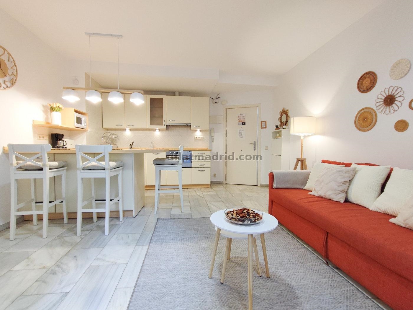 Interior apartment in Chamberí with terrace #483 in Madrid