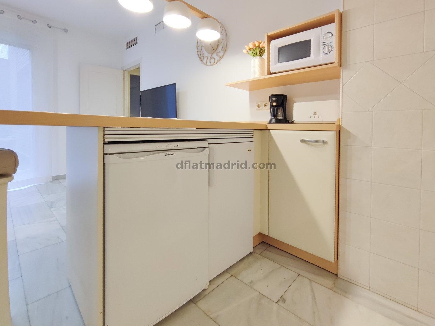 Interior apartment in Chamberí with terrace #483 in Madrid