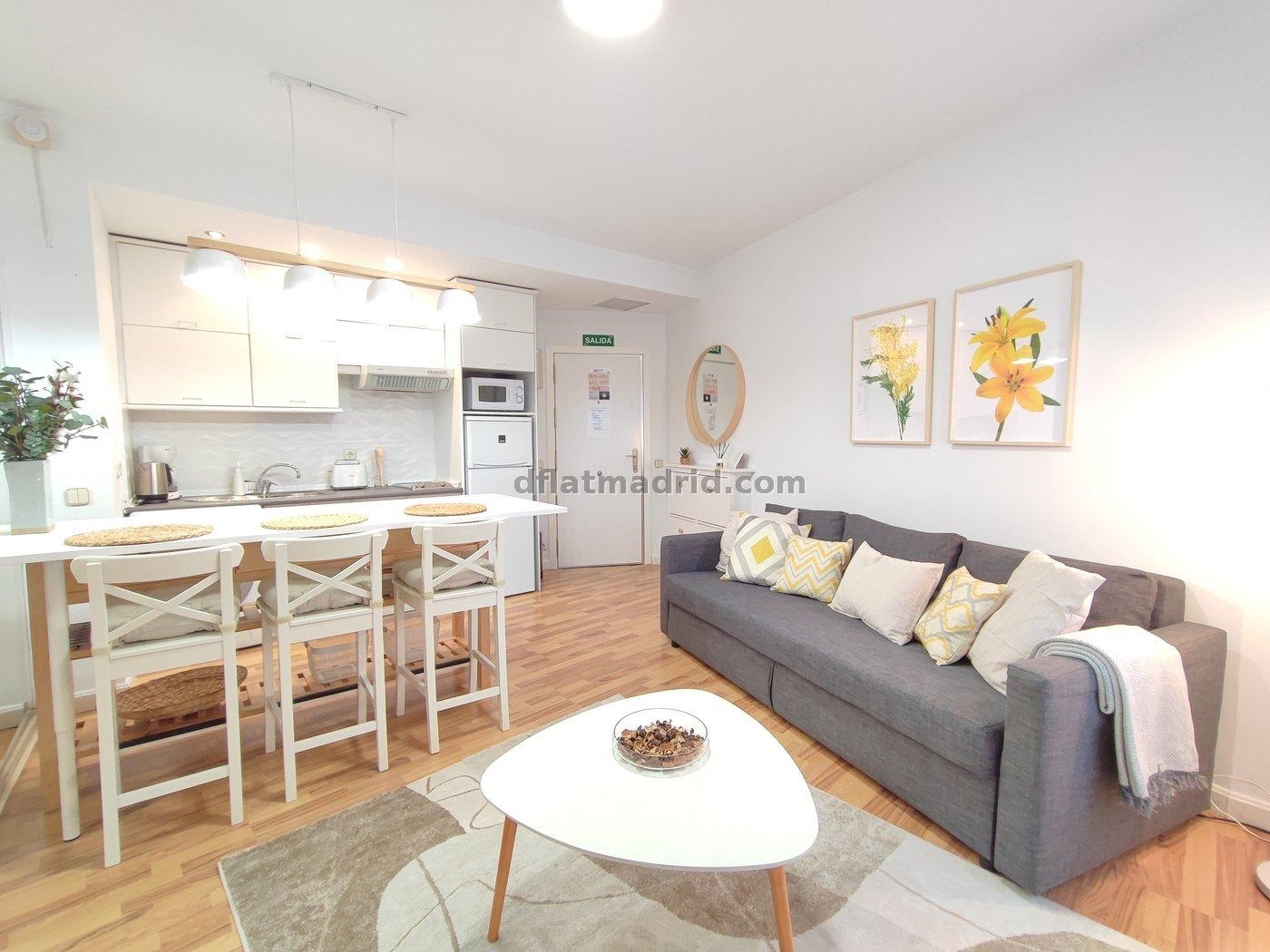 Interior apartment in Almagro exclusive area #491 in Madrid