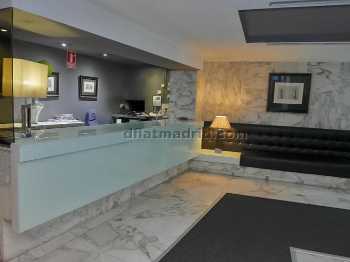Interior apartment in Almagro exclusive area #491 in Madrid