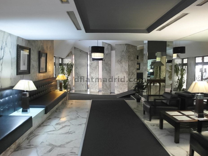 Interior apartment in Almagro exclusive area #491 in Madrid