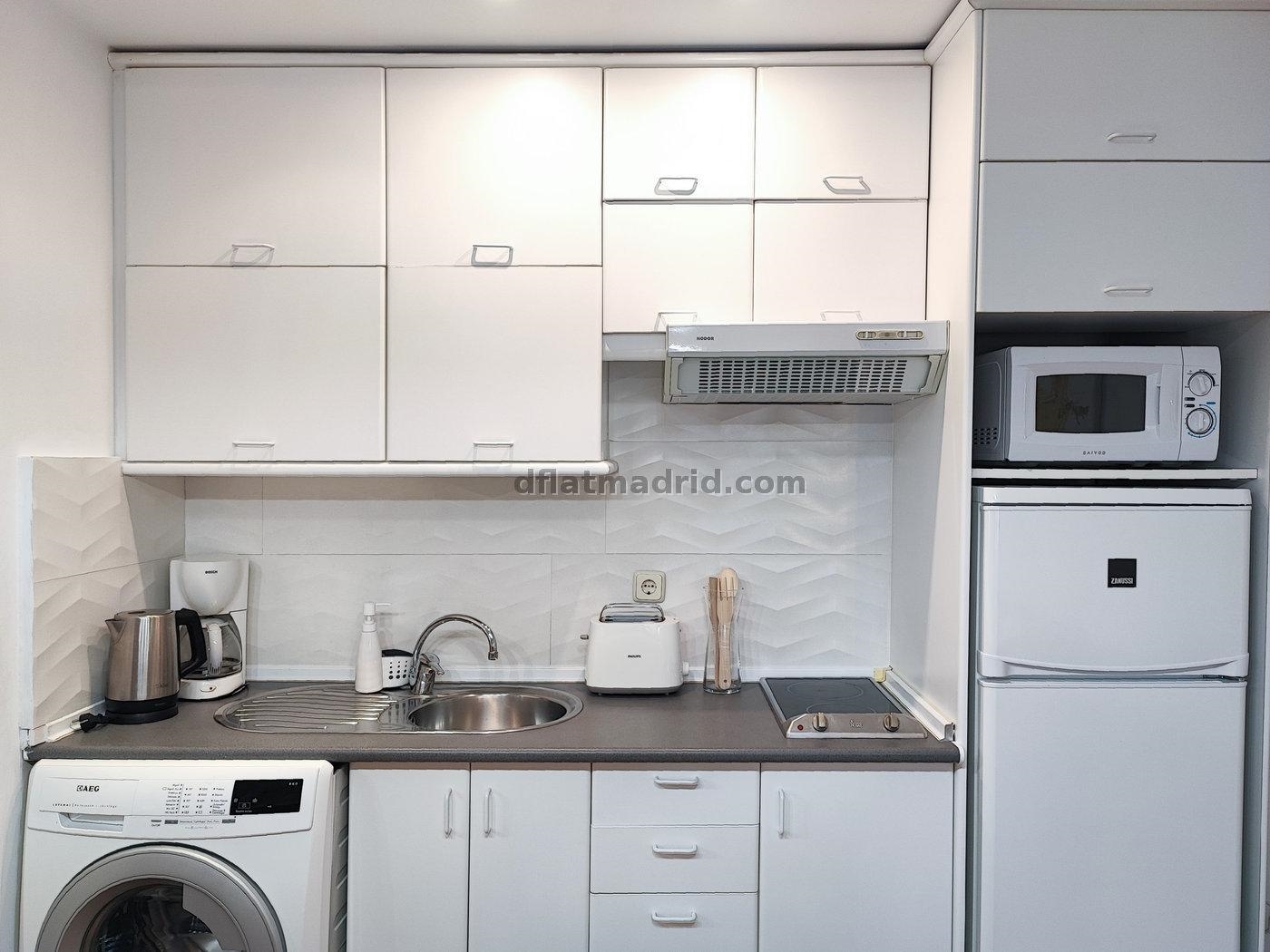 Interior apartment in Almagro exclusive area #491 in Madrid