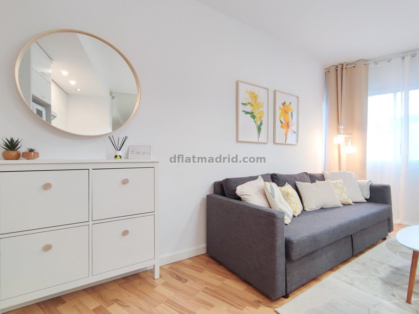Interior apartment in Almagro exclusive area #491 in Madrid