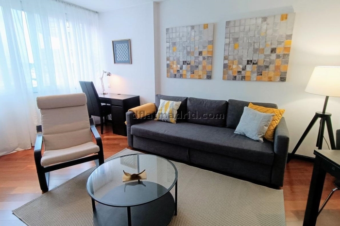 Exterior apartment next to Serrano exclusive area #574 in Madrid