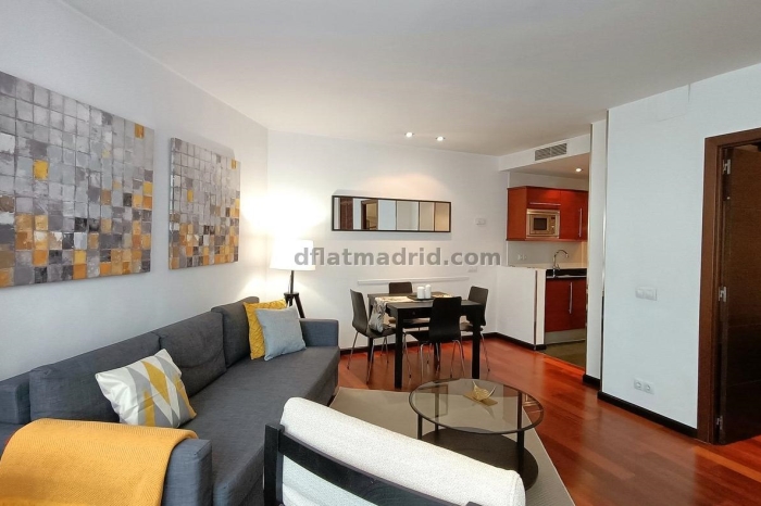 Exterior apartment next to Serrano exclusive area #574 in Madrid