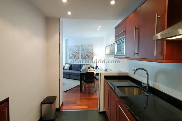 Exterior apartment next to Serrano exclusive area #574 in Madrid