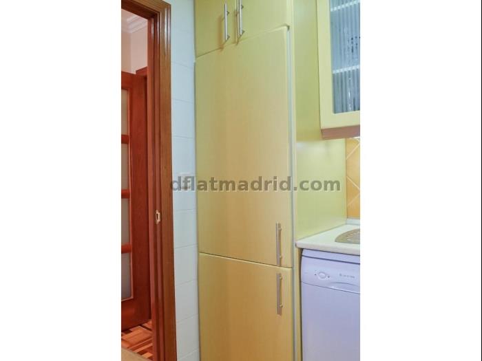 Central Apartment in Salamanca of 1 Bedroom #84 in Madrid