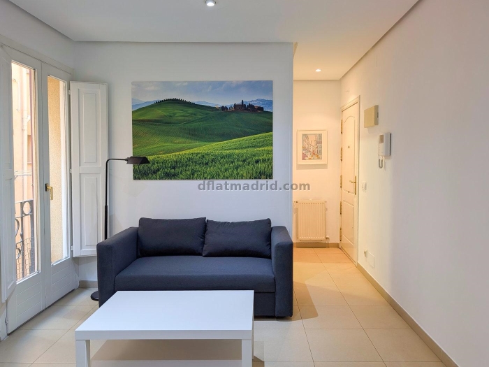 Bright Apartment in Centro of 1 Bedroom #324 in Madrid