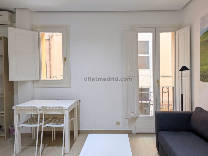 Bright Apartment in Centro of 1 Bedroom #324 in Madrid