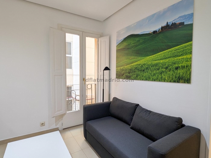 Bright Apartment in Centro of 1 Bedroom #324 in Madrid