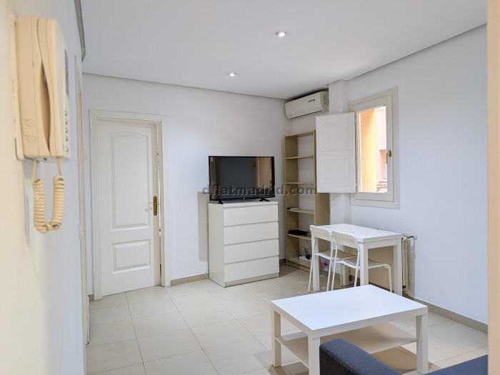 Bright Apartment in Centro of 1 Bedroom #324 in Madrid