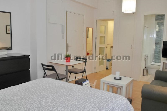 Estudio Céntrico en Salamanca #369 en Madrid
