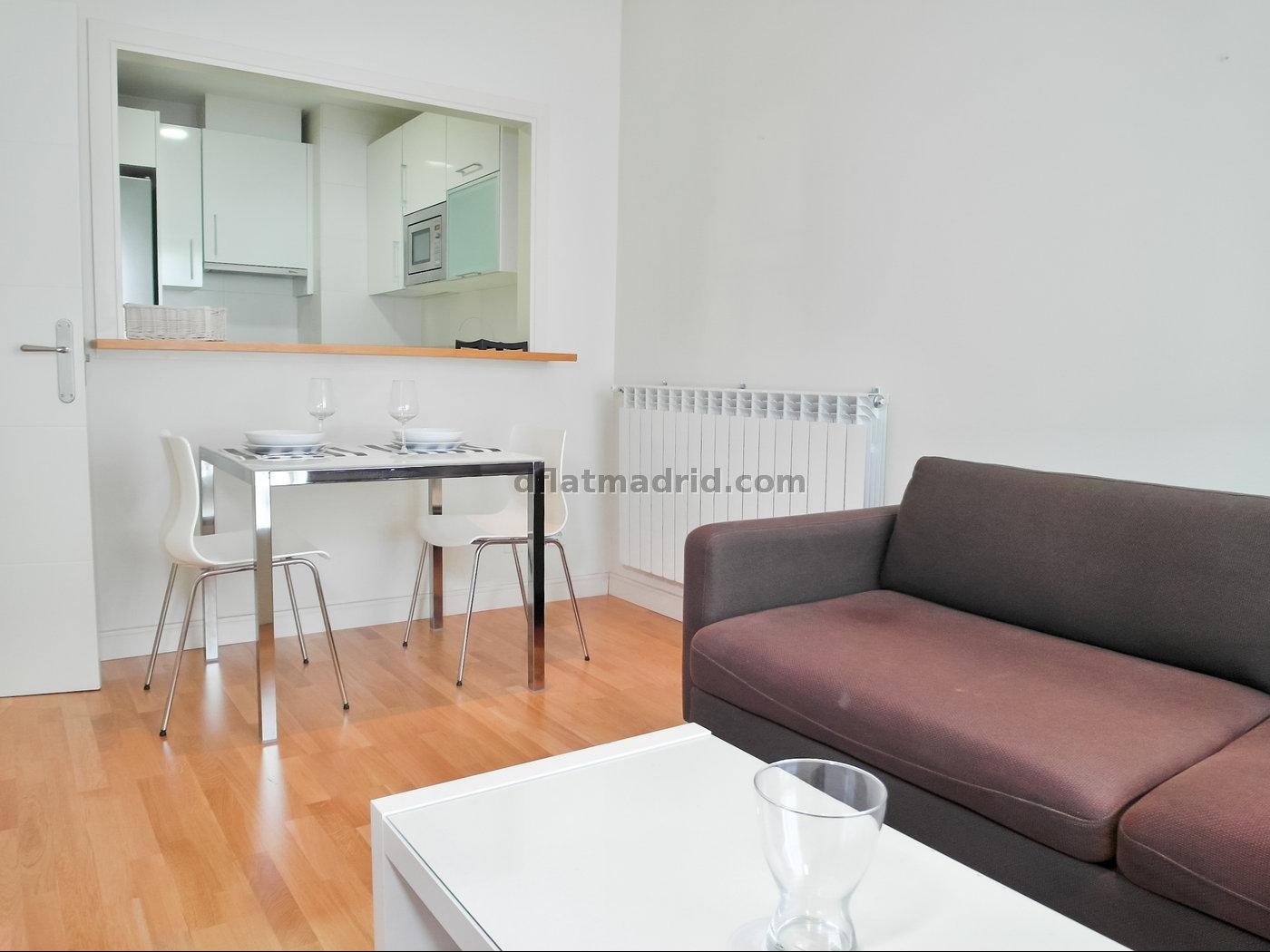 Apartamento Tranquilo en Chamartin de 1 Dormitorio #550 en Madrid