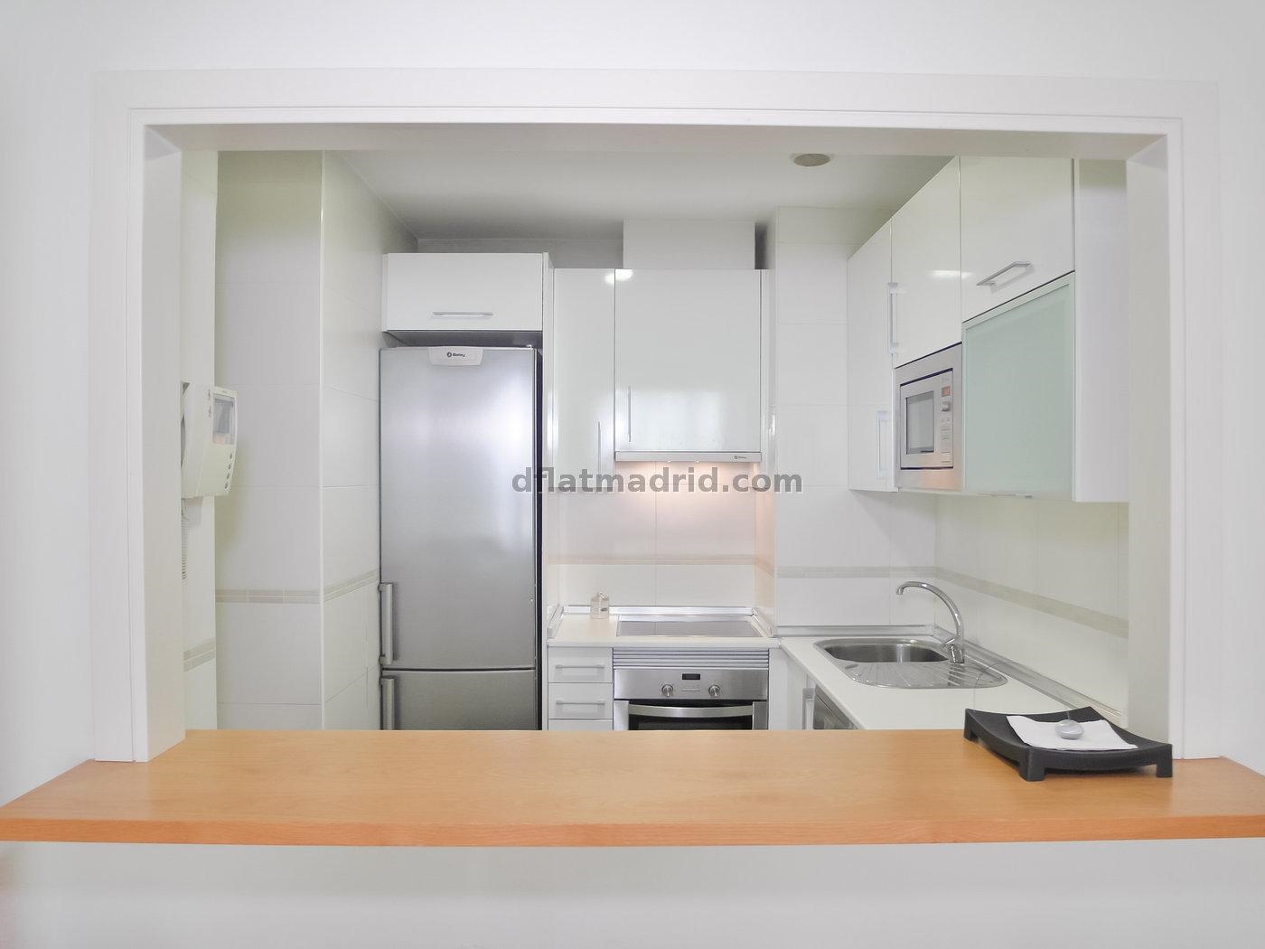 Apartamento Tranquilo en Chamartin de 1 Dormitorio #550 en Madrid