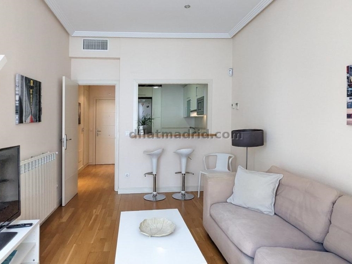 Quiet Apartment in Chamartin of 1 Bedroom #555 in Madrid