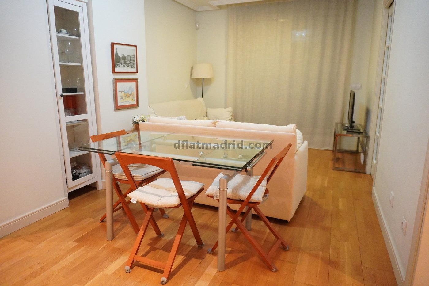 Apartamento Tranquilo en Chamartin de 1 Dormitorio con terraza #743 en Madrid
