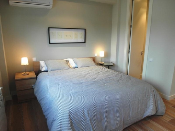 Spacious Apartment in Chamartin of 1 Bedroom #946 in Madrid
