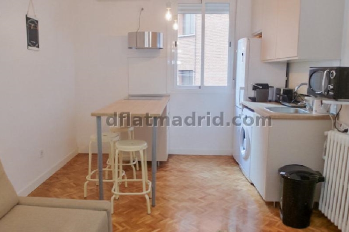 Apartment in Chamartin of 1 Bedroom #1642 in Madrid