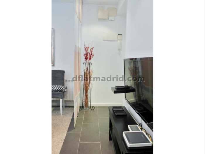 Apartamento Céntrico en Salamanca de 3 Dormitorios #1782 en Madrid