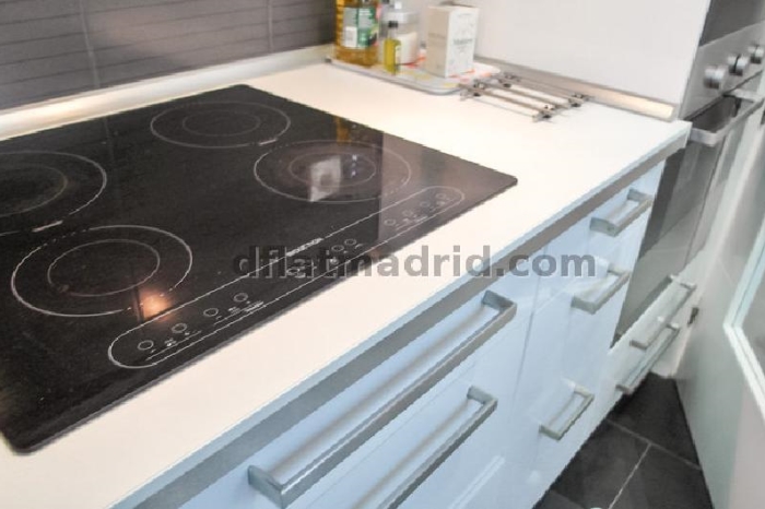 Apartamento Céntrico en Salamanca de 3 Dormitorios #1782 en Madrid