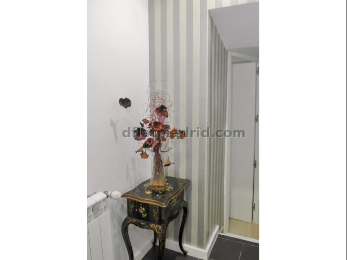 Apartamento Céntrico en Salamanca de 3 Dormitorios #1782 en Madrid