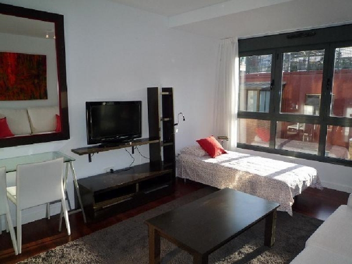 Estudio Luminoso en Chamartin #449 en Madrid