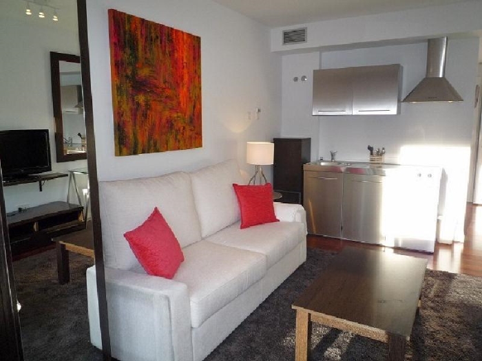 Estudio Luminoso en Chamartin #449 en Madrid