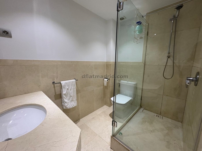 Central Apartment in Salamanca of 2 Bedrooms #510 in Madrid